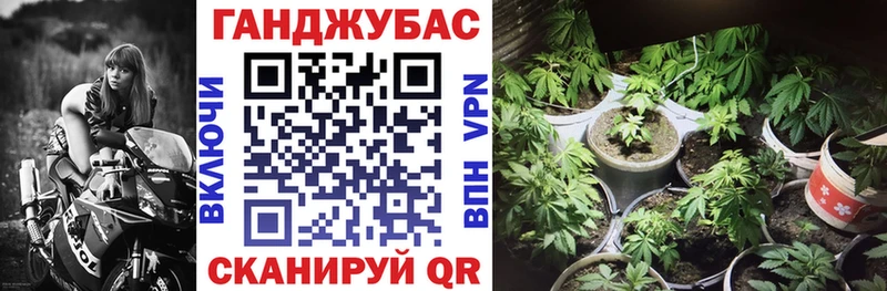 Канабис конопля  наркота  Алупка 
